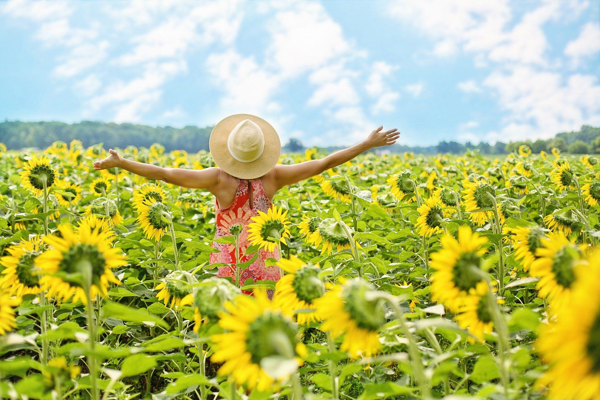 Why Choose a Private Retreat for Your Next Getaway?