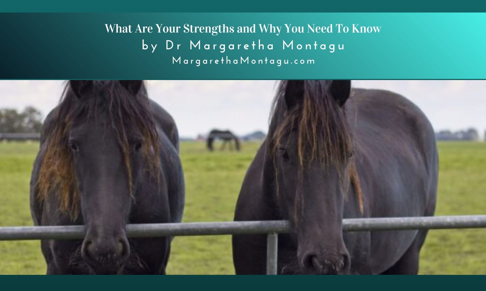 What Are Your Strengths and Why You Need To Know