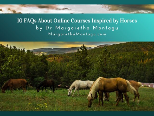 10 FAQs About Online Courses Inspired by Horses: Everything You Need to Know