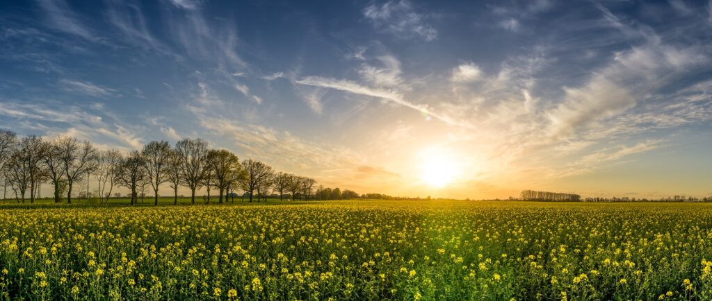 Silent Walking: Your Guide to Mindful Movement