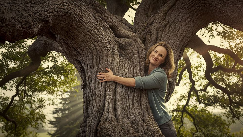 ReConnect with Nature: Merlin, the Magical Oak