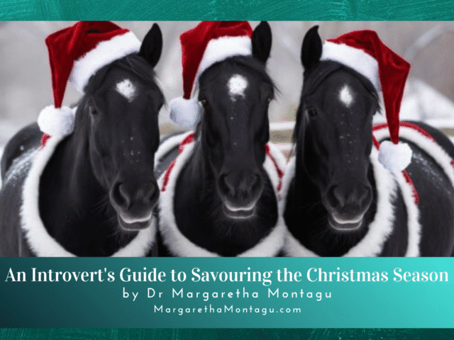 An Introvert’s Guide to Savouring the Christmas Season