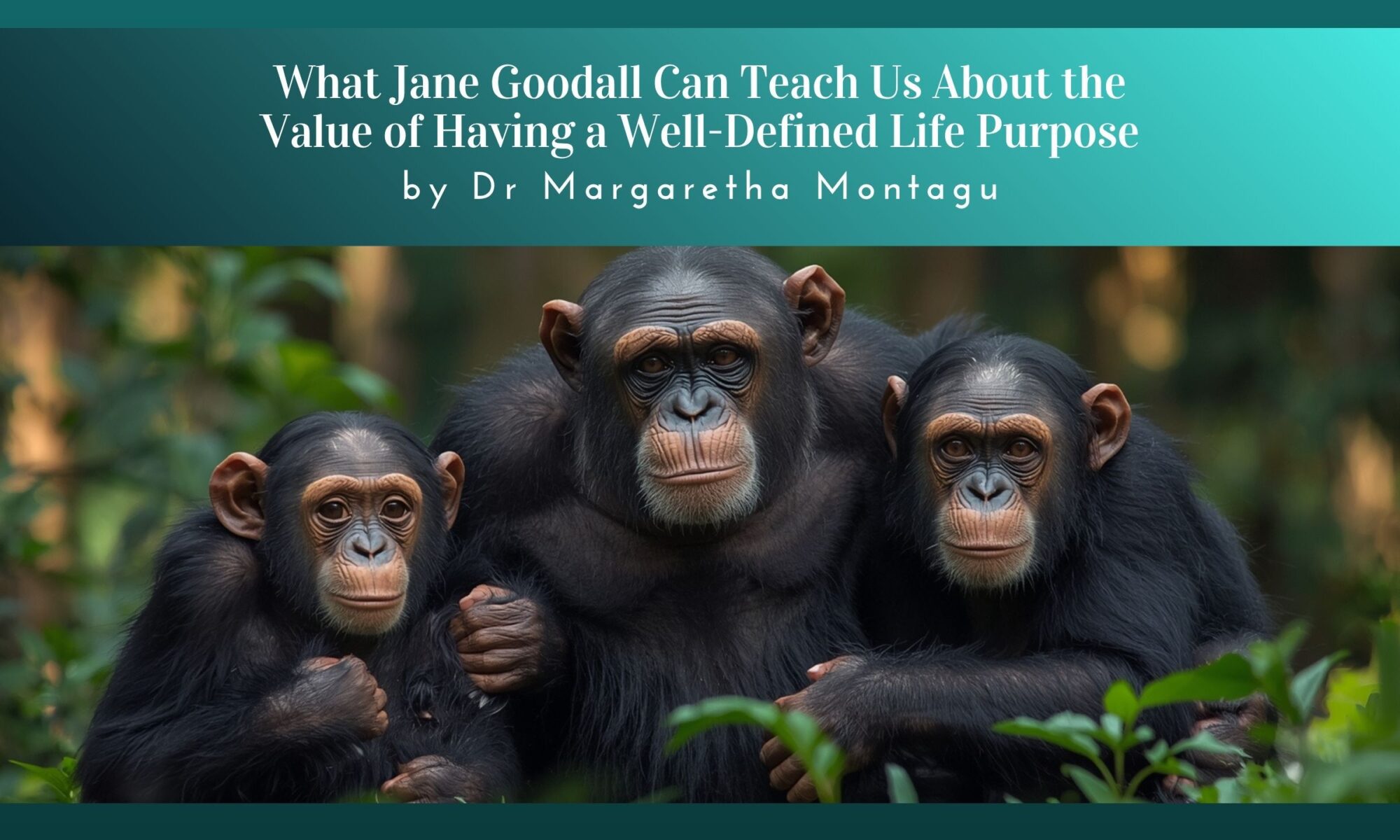 What Jane Goodall Can Teach Us About the Value of Having a Well-Defined Life Purpose