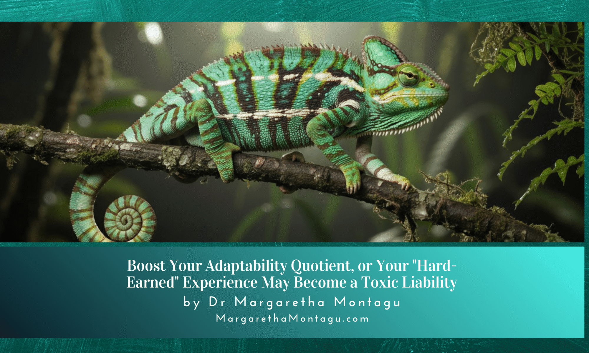 adaptability quotient