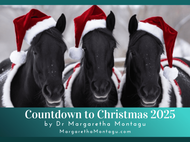 Countdown to Christmas Calendar Day 16