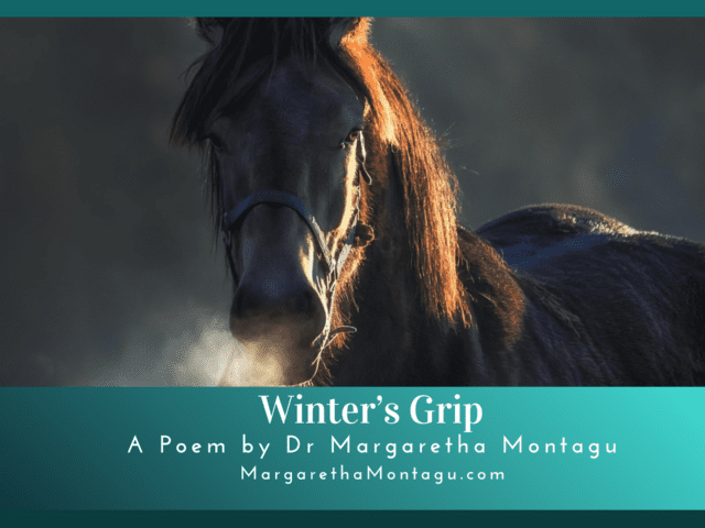 Winter’s Grip – My First Attempt at Writing a Proper Poem