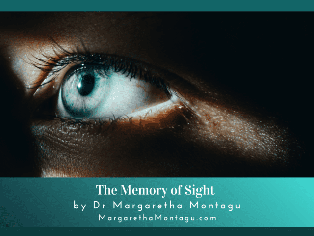 The Memory Of Sight