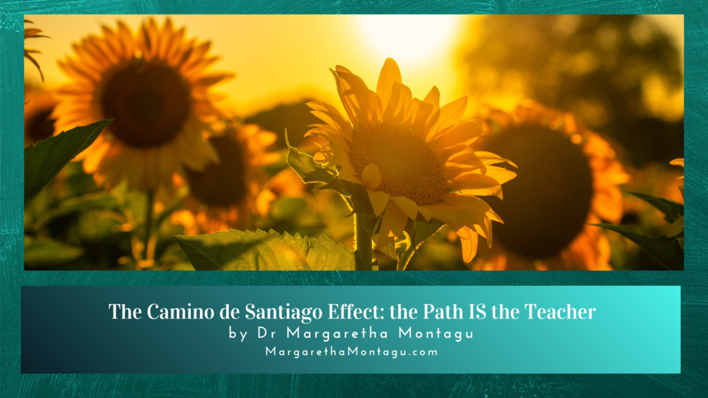 The Camino de Santiago Effect
