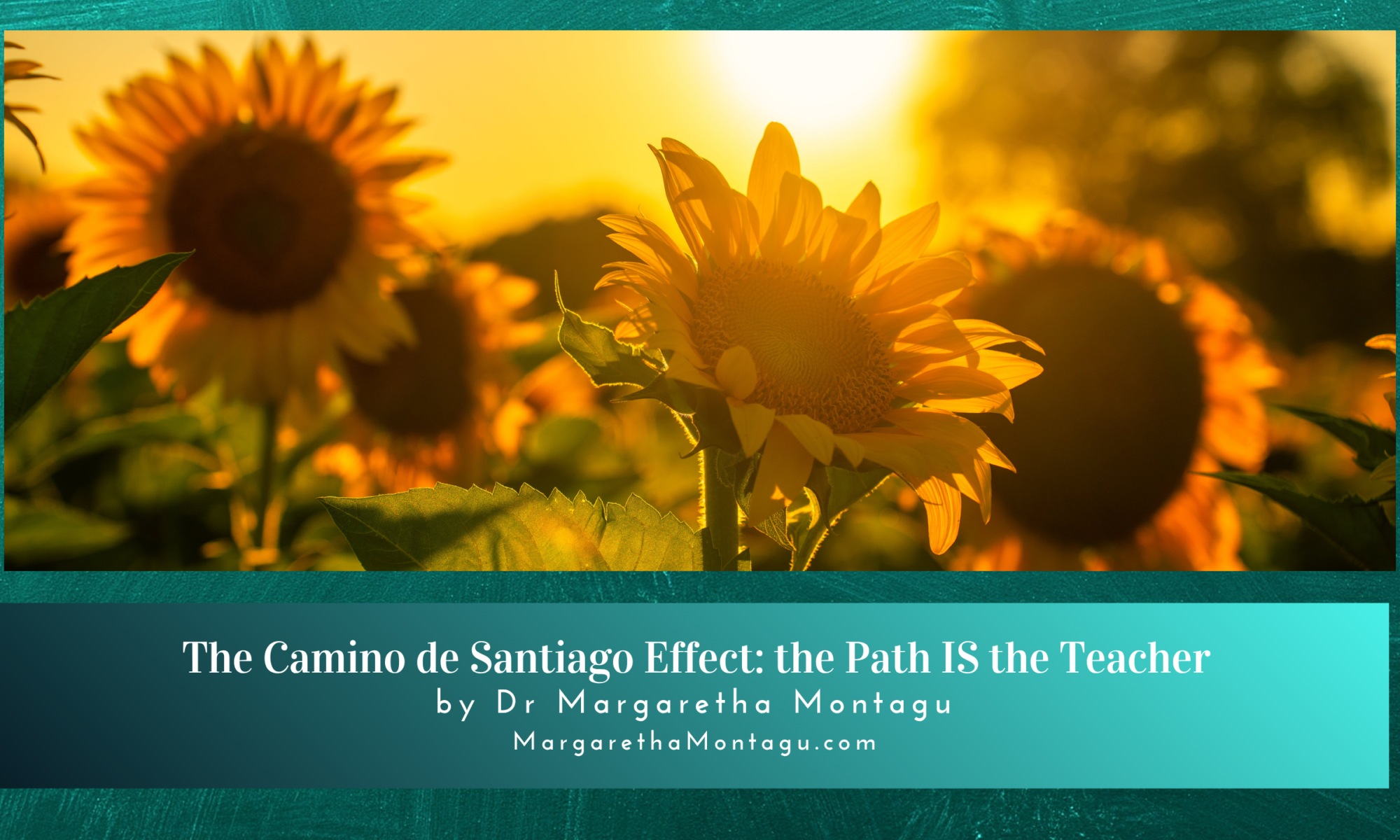 The Camino de Santiago Effect