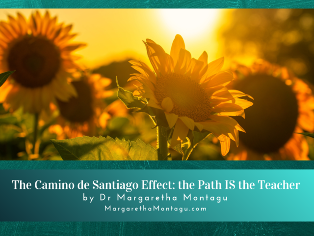 The Camino de Santiago Effect: the Path IS the Teacher