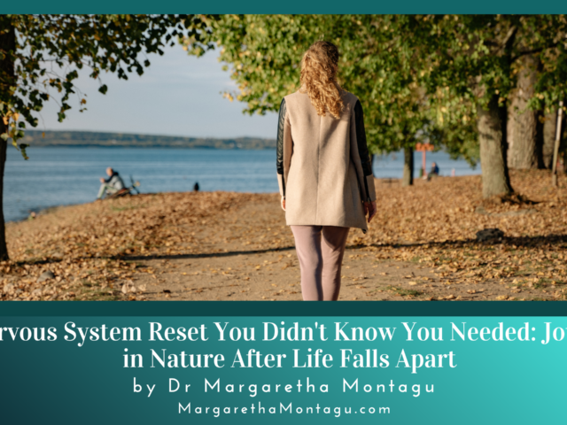 Journaling in Nature: The Nervous System Reset You Didn’t Know You Needed