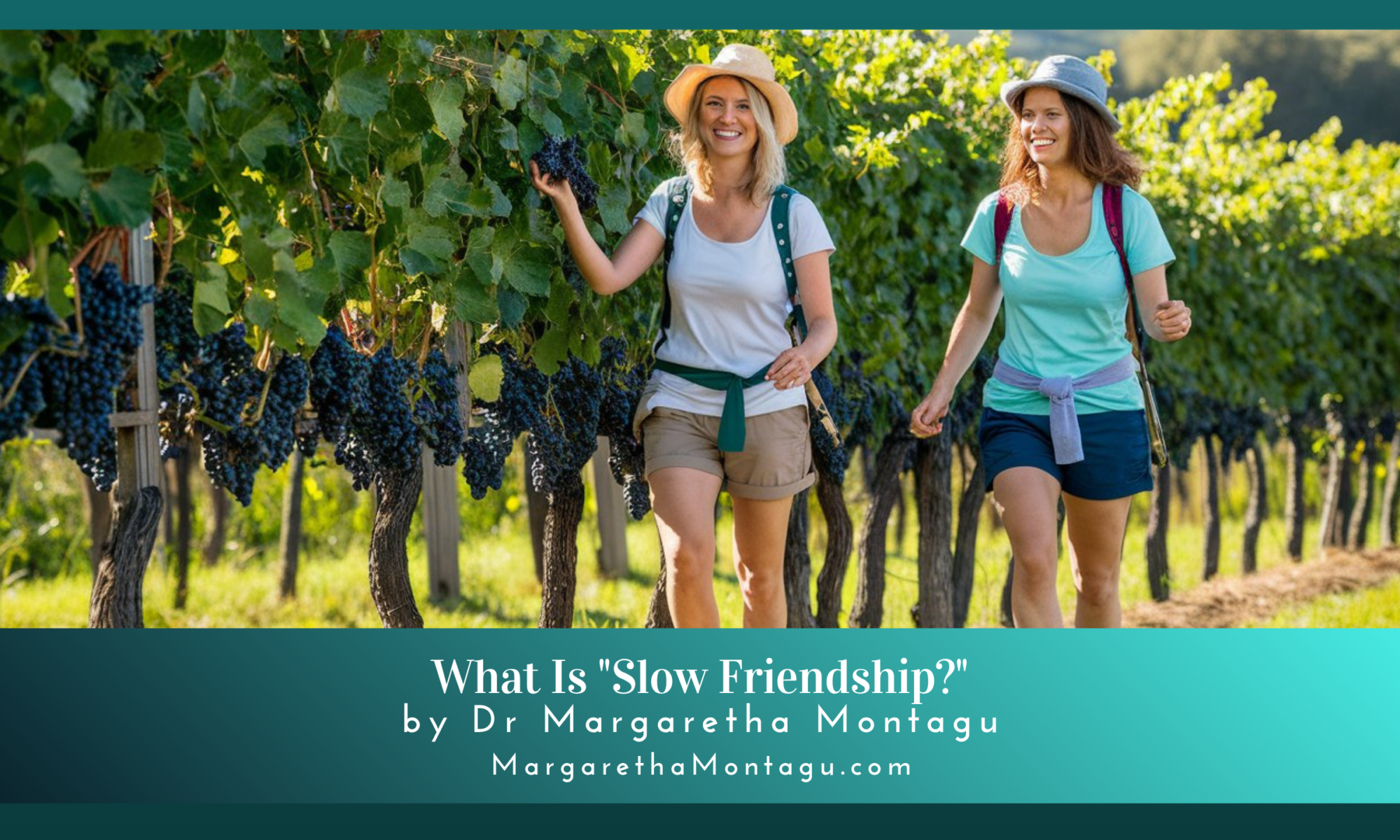 slow friendship