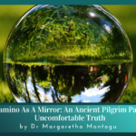 Camino as a mirror