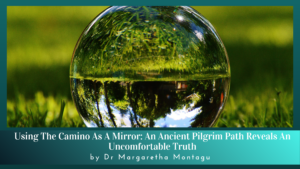 Camino as a mirror