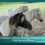slow living summer