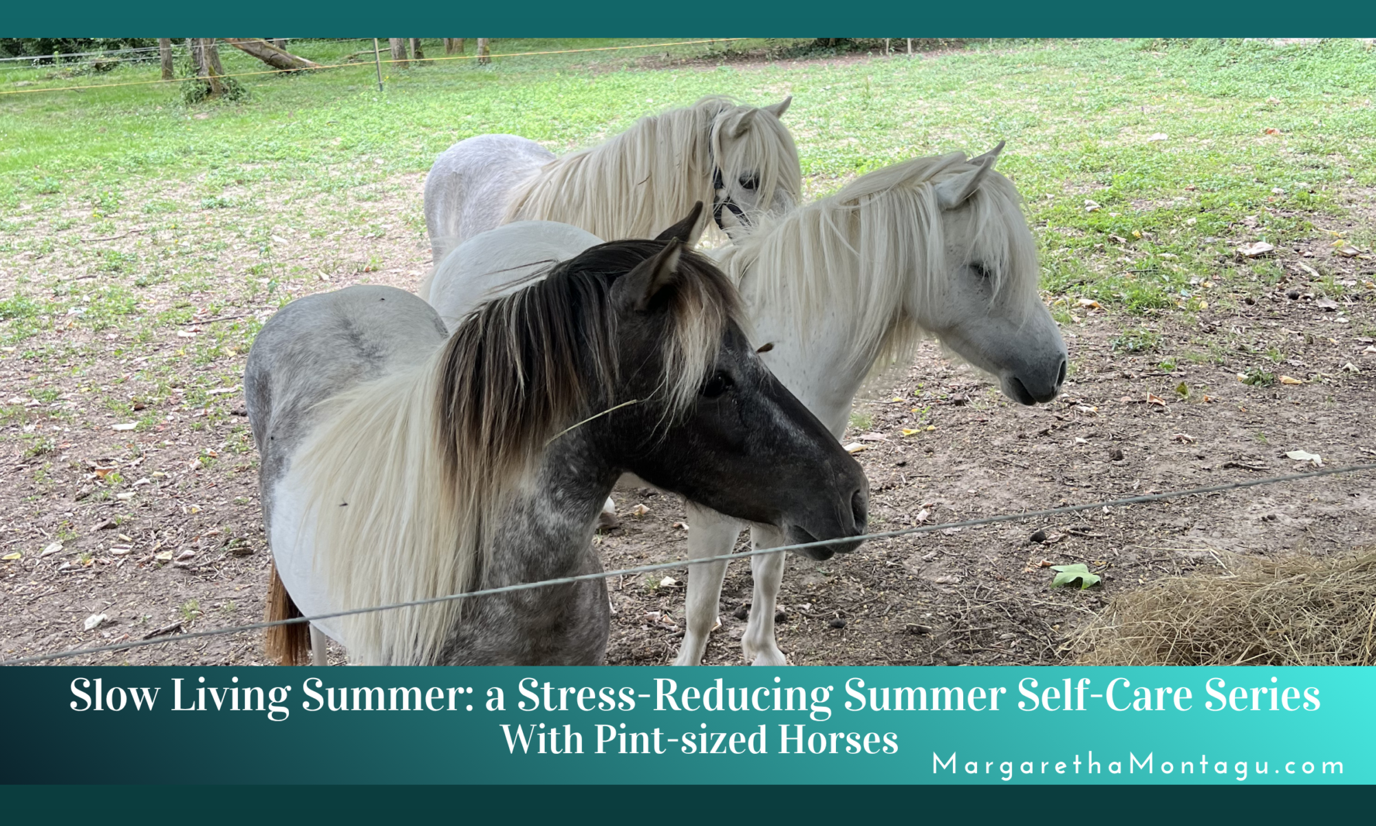 slow living summer