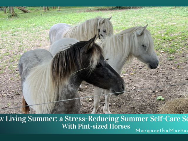 Slow Living Summer Series