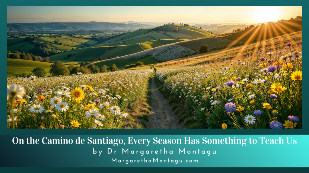 Every Season Has Something to Teach Us