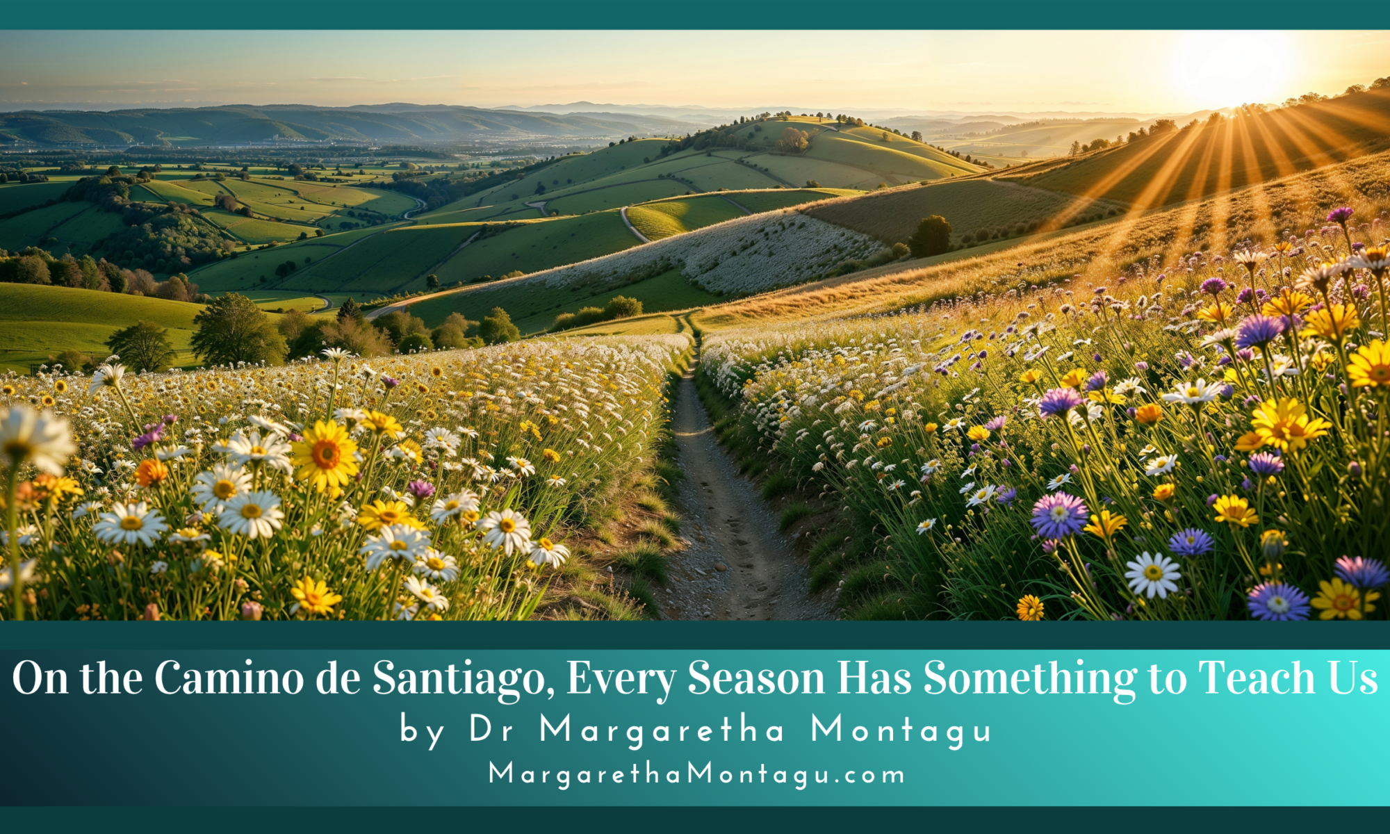 Every Season Has Something to Teach Us