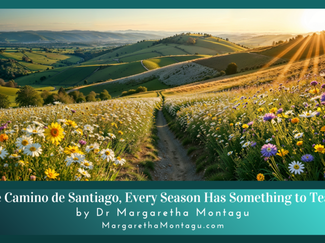 On the Camino de Santiago, Every Season Has Something to Teach Us