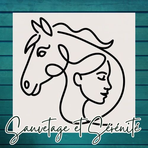 Sauvetage et Serenite logo