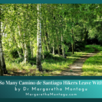 Camino de Santiago Hikers