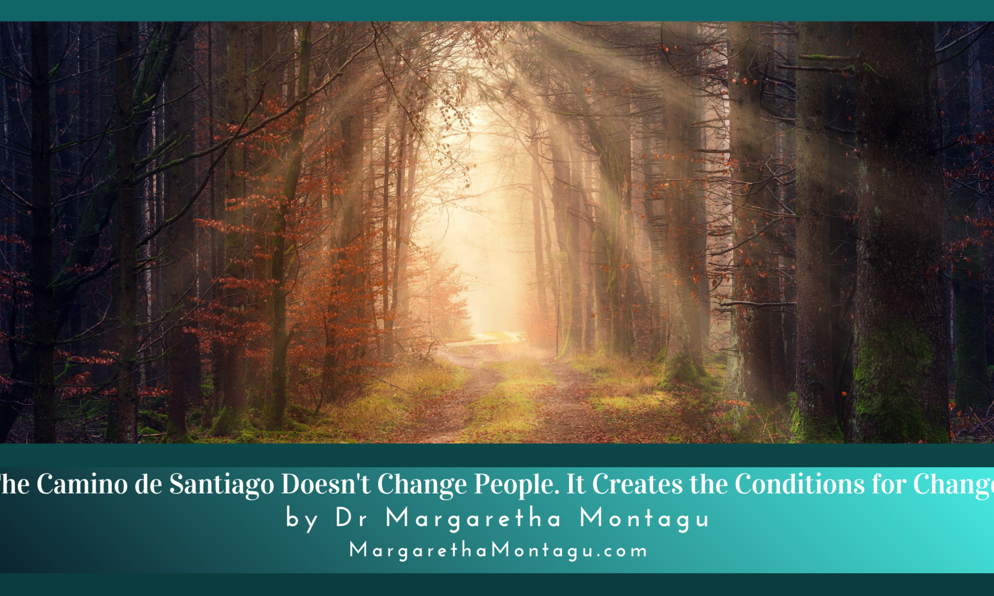 Conditions for Change.