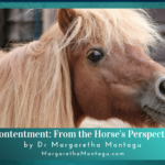 contentment