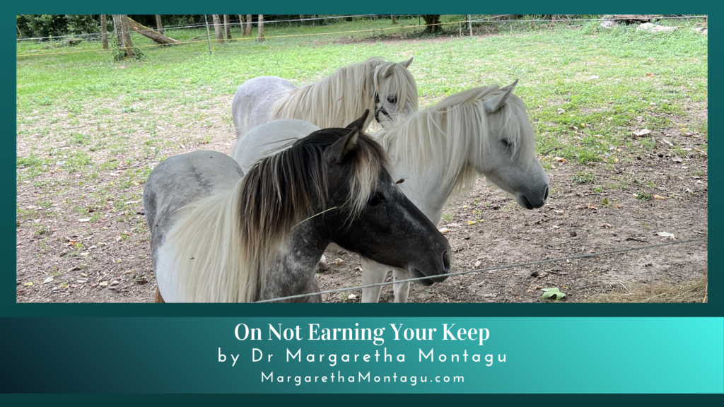 On Not Earning Your Keep