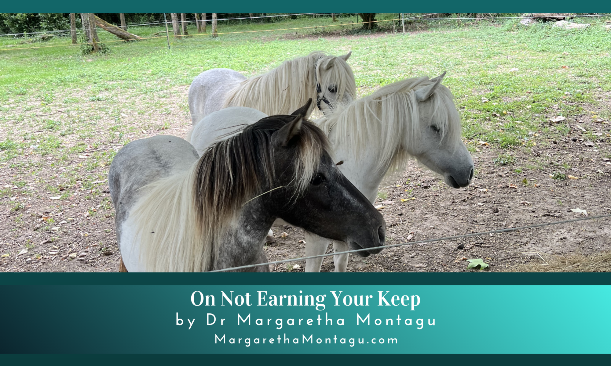 On Not Earning Your Keep