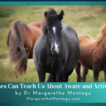 What Horses Teach Us About Active Listening