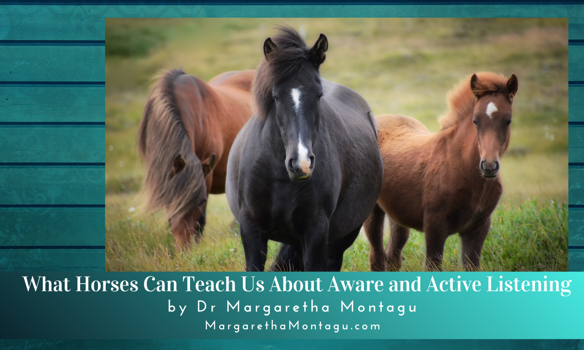 What Horses Teach Us About Active Listening