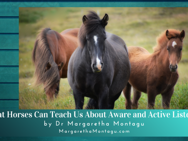 What Horses Teach Us About Active and Aware Listening