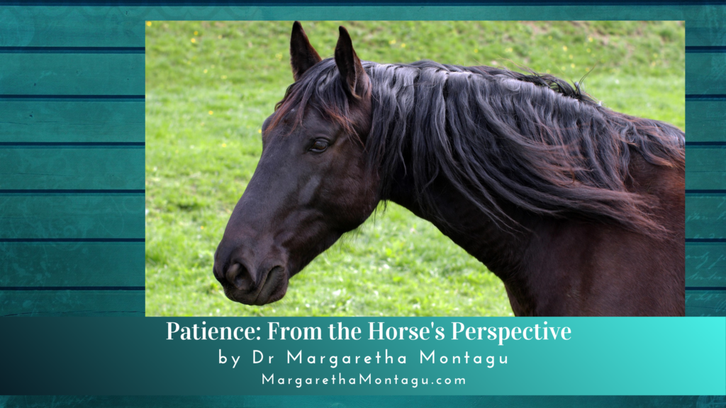 patience