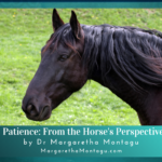 patience