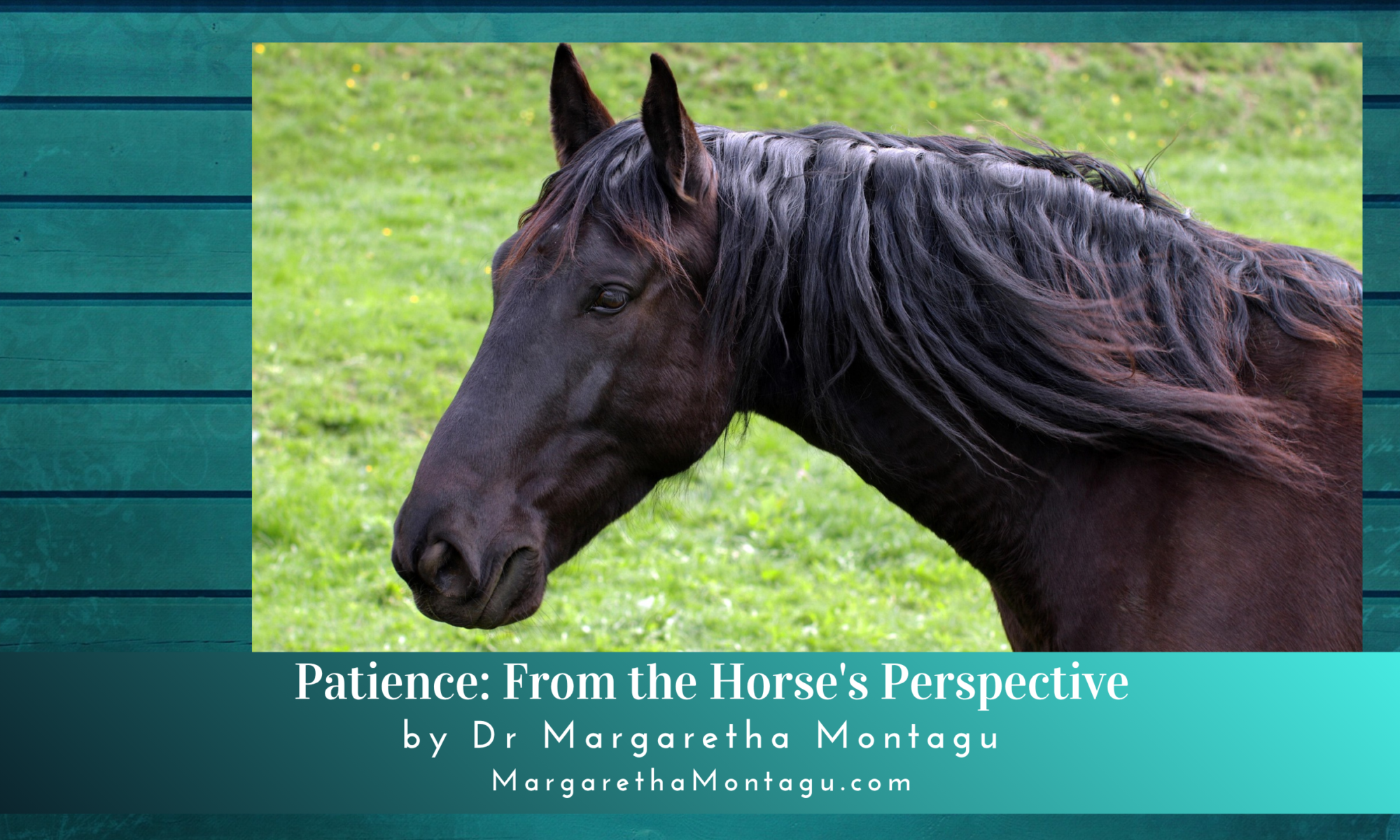patience
