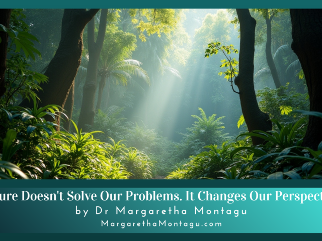 Nature Doesn’t Solve Our Problems. It Changes Our Perspective.