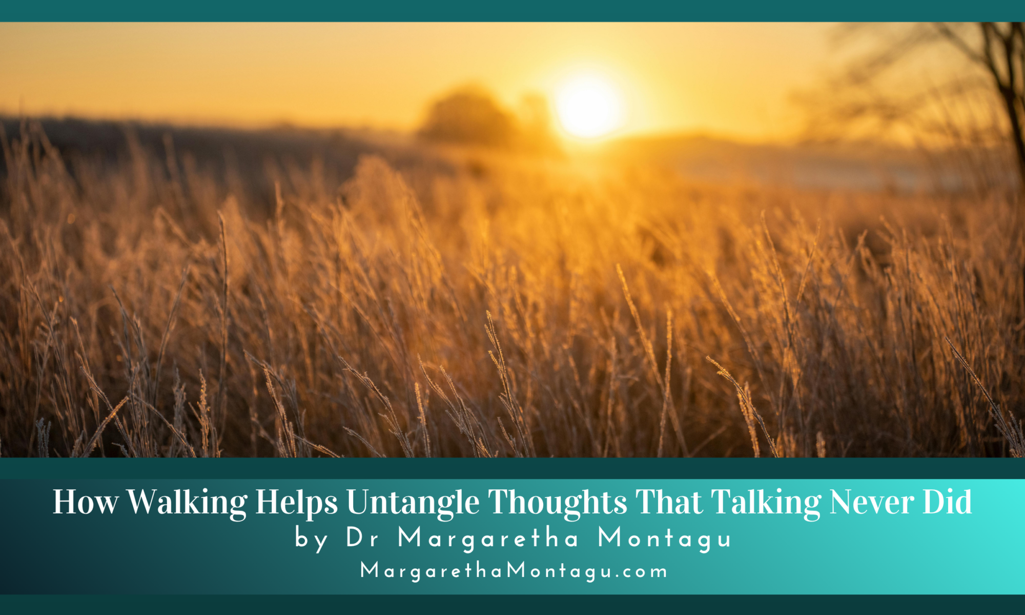 How Walking Helps Untangle Thoughts That Talking Never Did