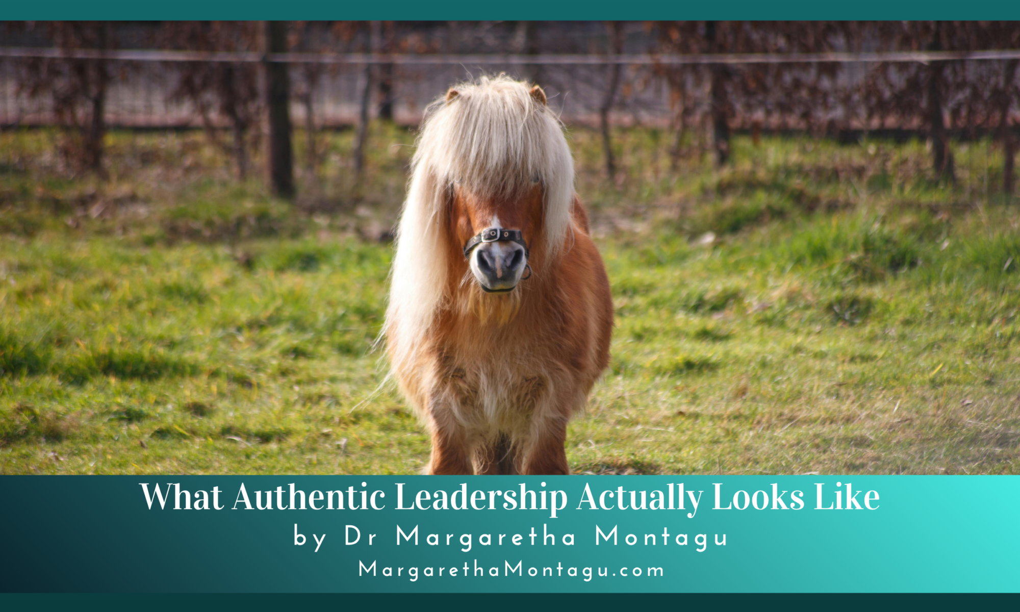 Authentic Leadership