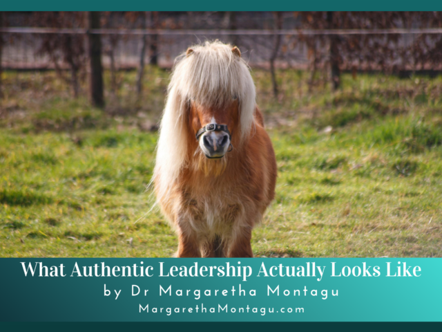 What Horses Can Teach Us About Authentic Leadership