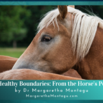 Setting Healthy Boundaries