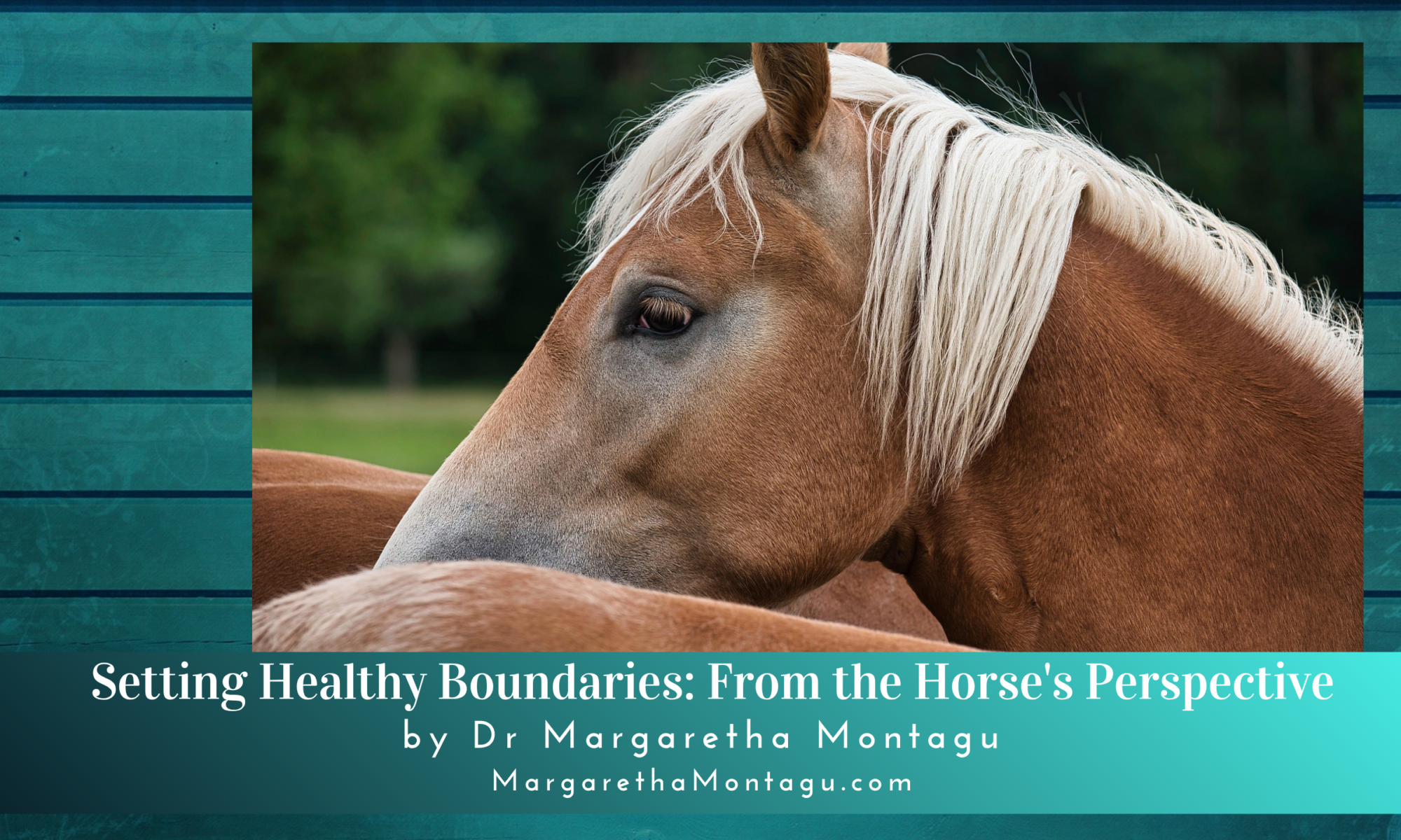 Setting Healthy Boundaries