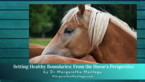 Setting Healthy Boundaries