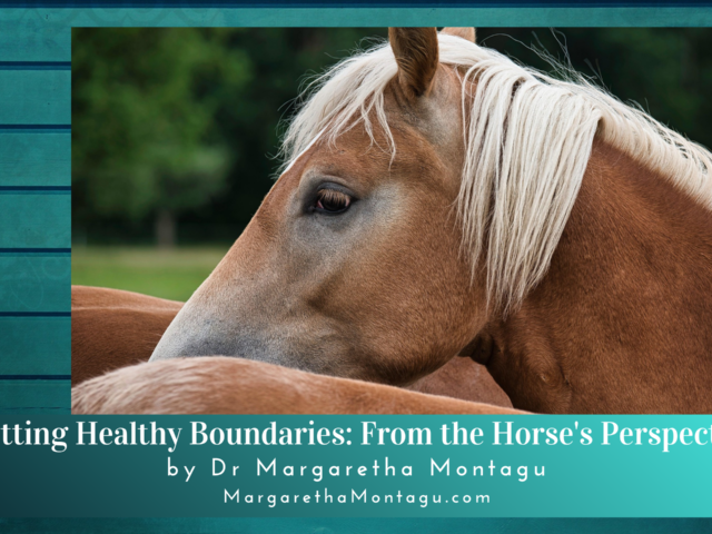 What Horses Can Teach Us About Setting Healthy Boundaries