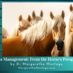 Stress Management