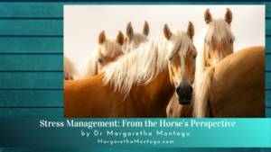 Stress Management